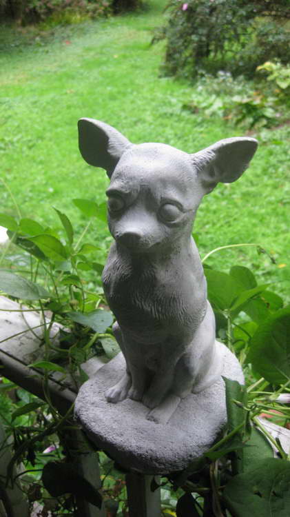 Chihuahua Dog Statues
