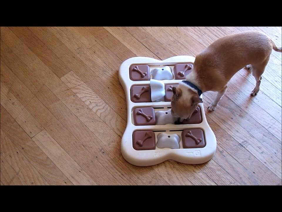 Chihuahua Dog Toys