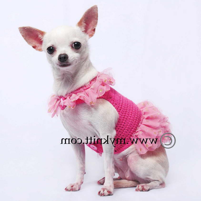 Chihuahua Dresses