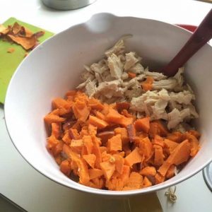 Chihuahua Food Recipes