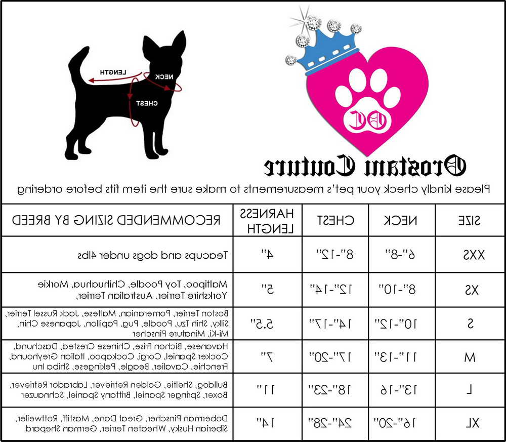 Chihuahua Harness Size | PETSIDI