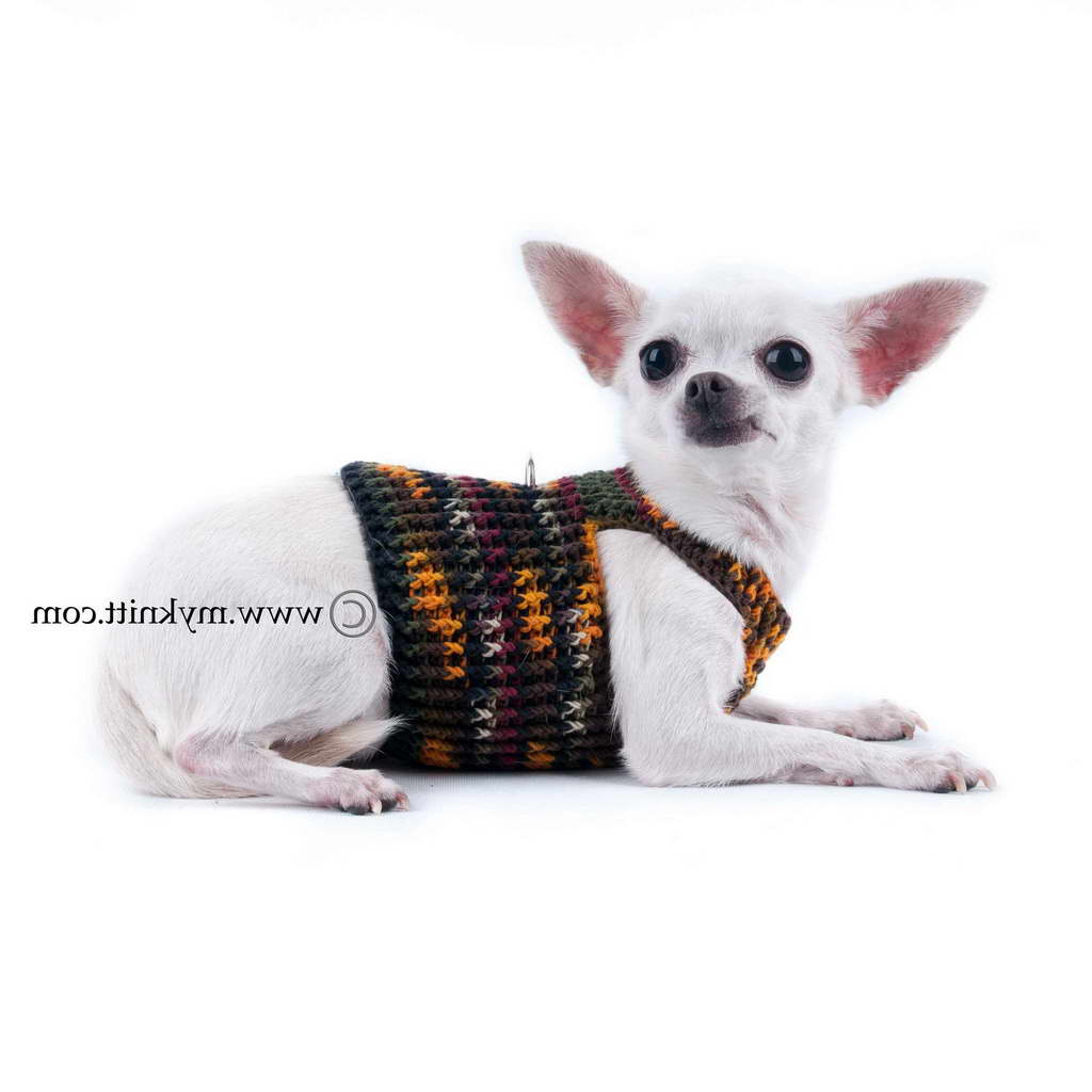 Chihuahua Harness Vest