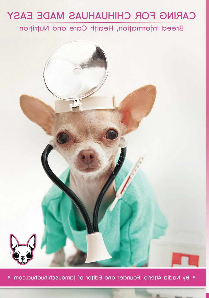 Chihuahua Health Care
