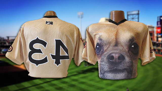 Chihuahua Jerseys