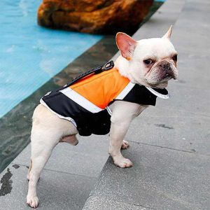 Chihuahua Life Jackets