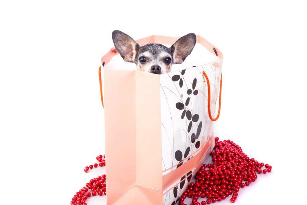 Chihuahua Lovers Gifts