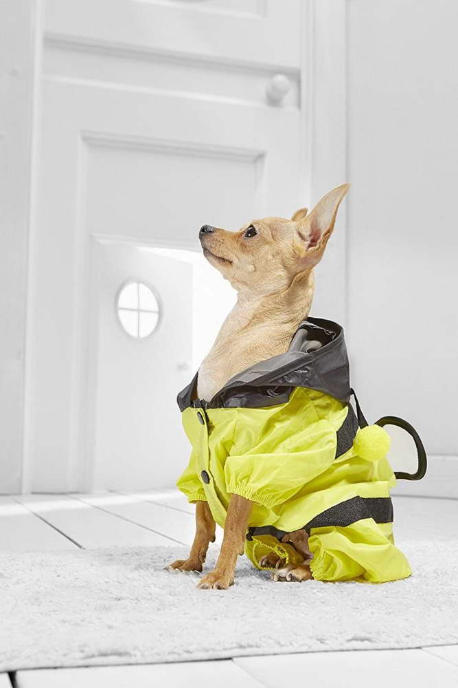 Chihuahua Raincoat | PETSIDI