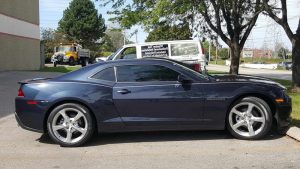 Chihuahua Tire Shop West Chicago