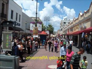 Chihuahua To Mexico City