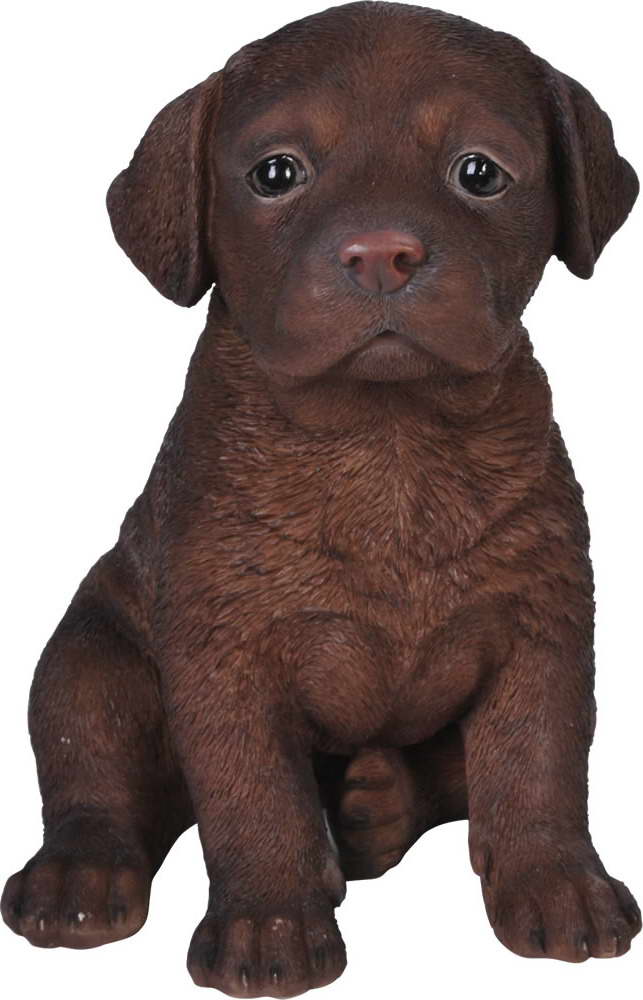 Chocolate Labrador Ornament
