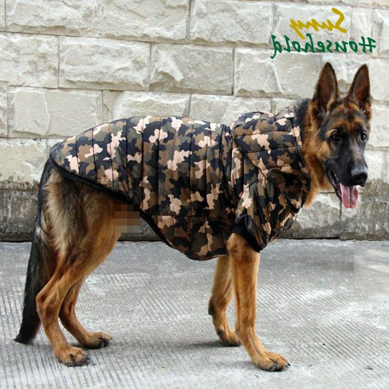 Clothes For German Shepherd Dogs