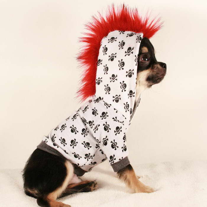 Clothes For Teacup Chihuahua Puppies