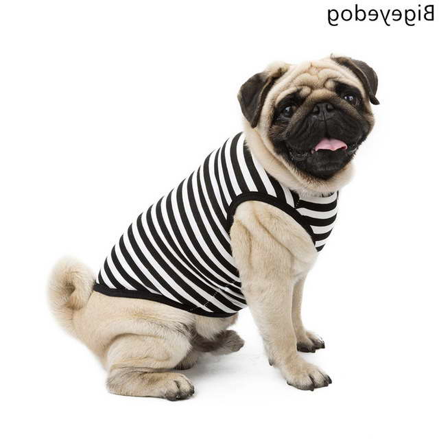 Clothes For Pug