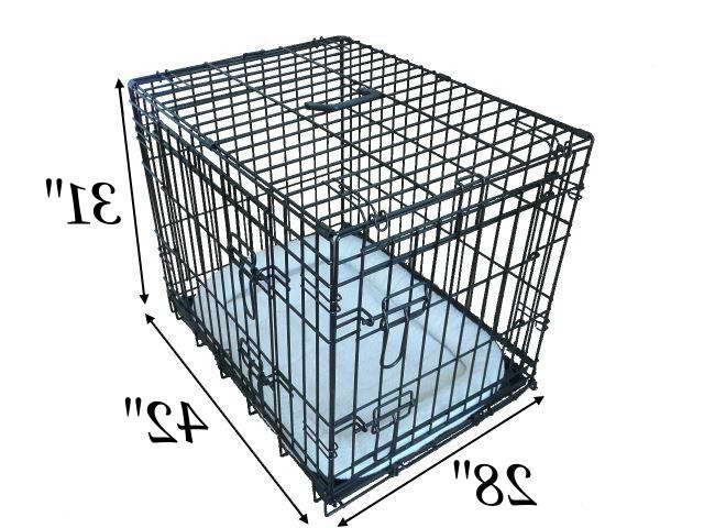 Crate Size For Labrador