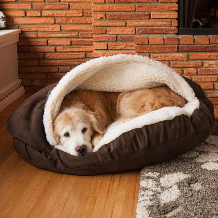 Dog Bed For Labrador