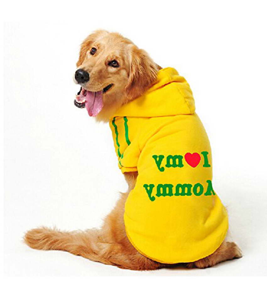 Dog Clothes For Labrador Retrievers