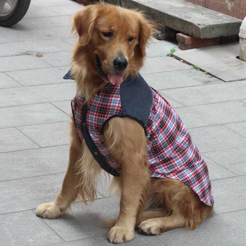Dog Clothes For Labrador