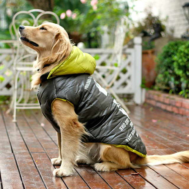 Dog Coat For Labrador