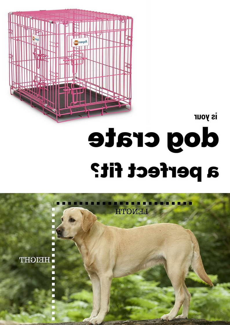 Dog Crate Size For Labrador