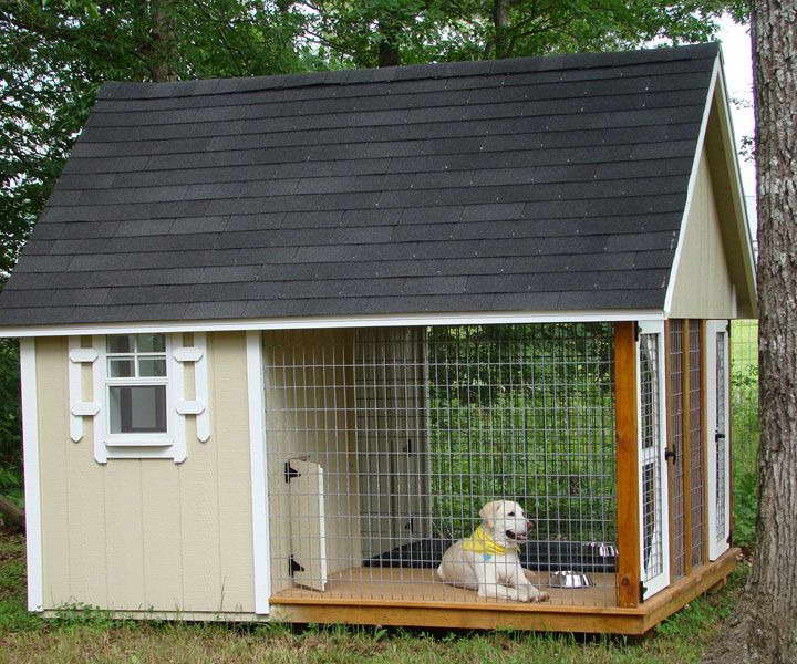 Dog House For Labrador Retriever