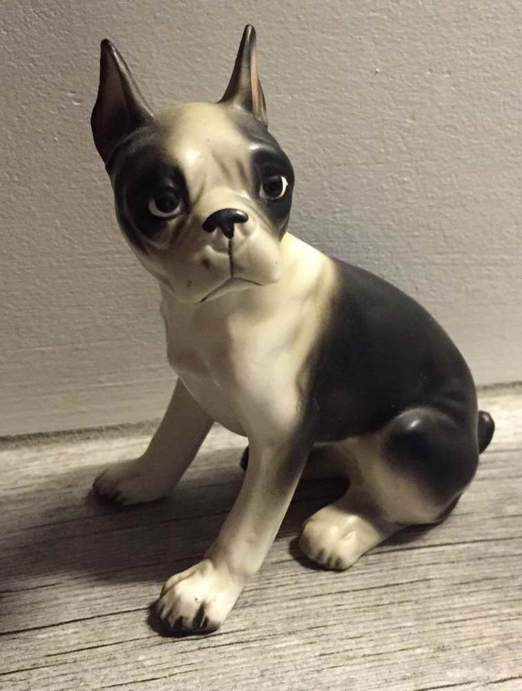 Ebay Boston Terrier