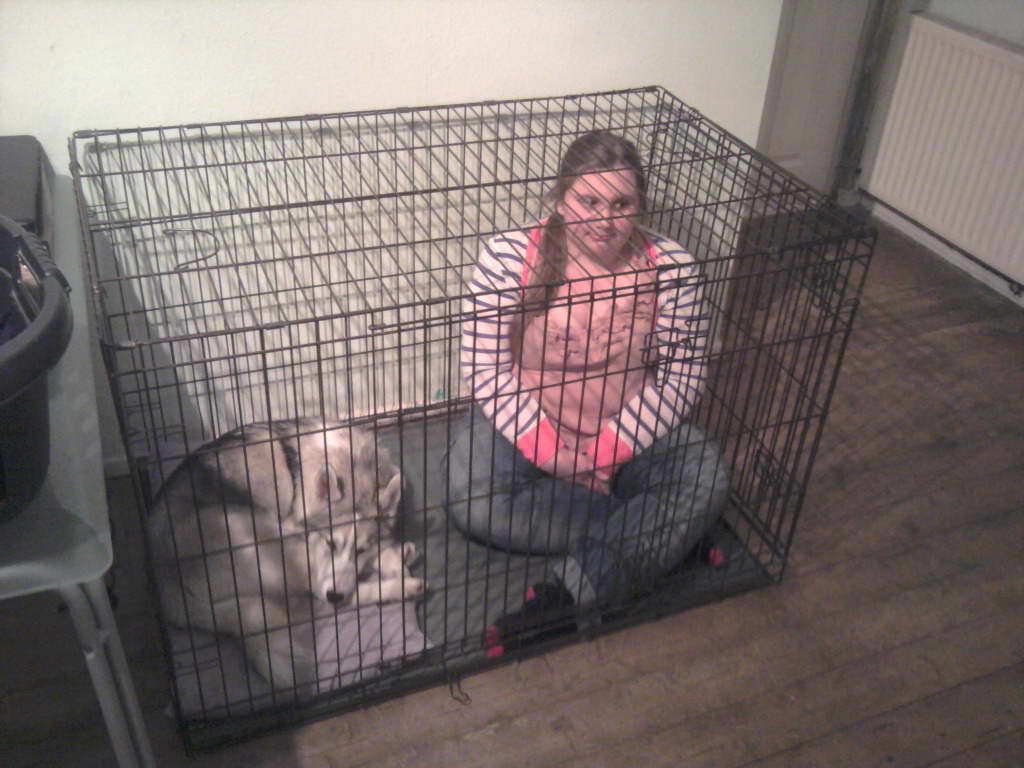 Crate Size For Husky
