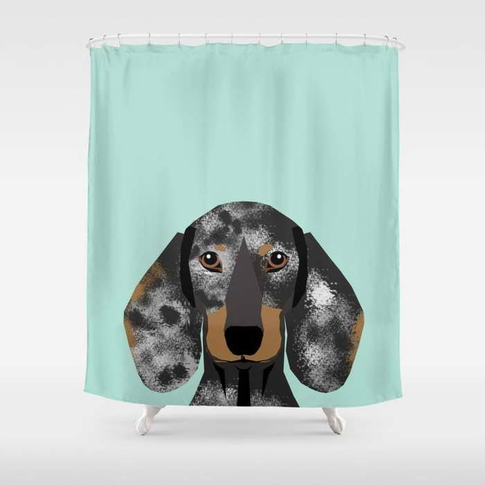 Dachshund Accessories Gifts