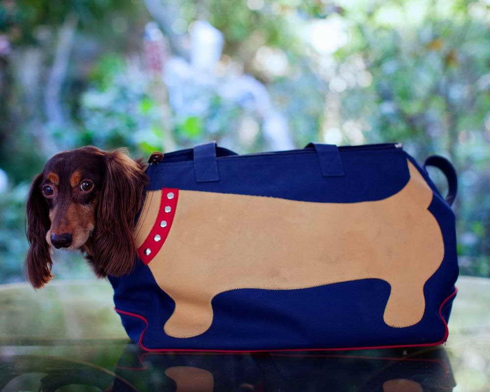 travel carrier for dachshund