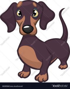 Dachshund Cartoon Images