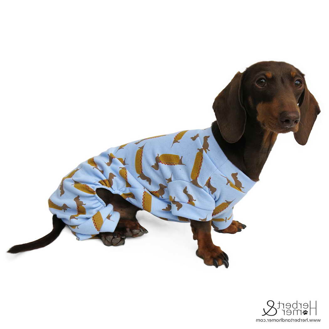 Dachshund Clothes For Adults