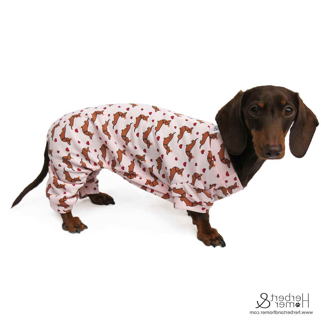 Dachshund Clothing For Adults