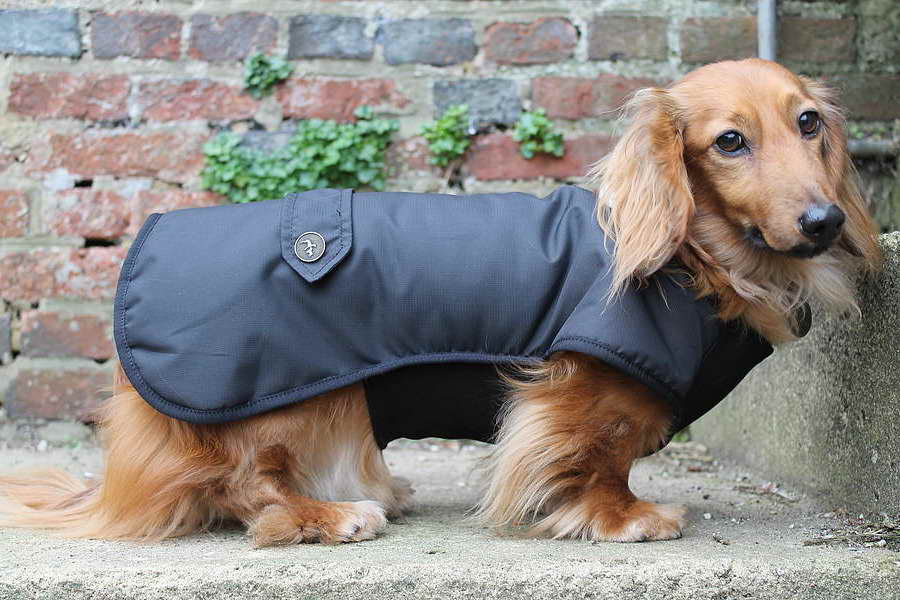 Dachshund Clothing For Dogs