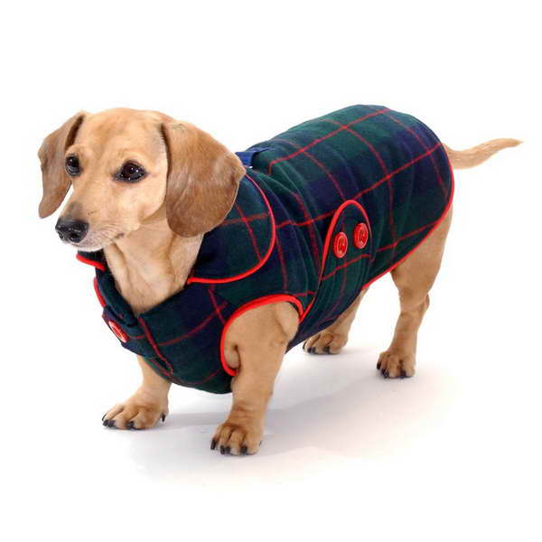 Dachshund Coats And Sweaters