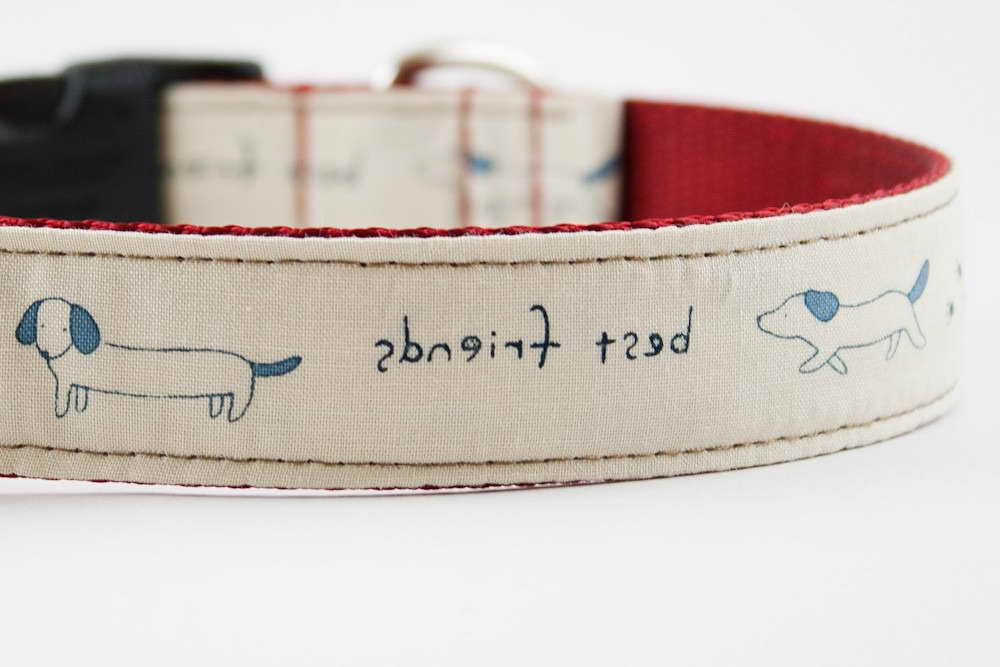 Dachshund Dog Collars