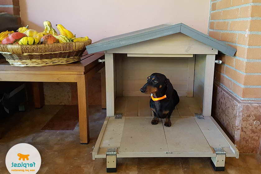 Dachshund Dog House