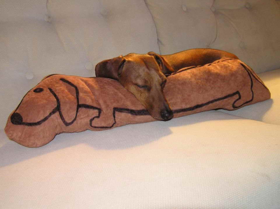 Dachshund Pillow Pet