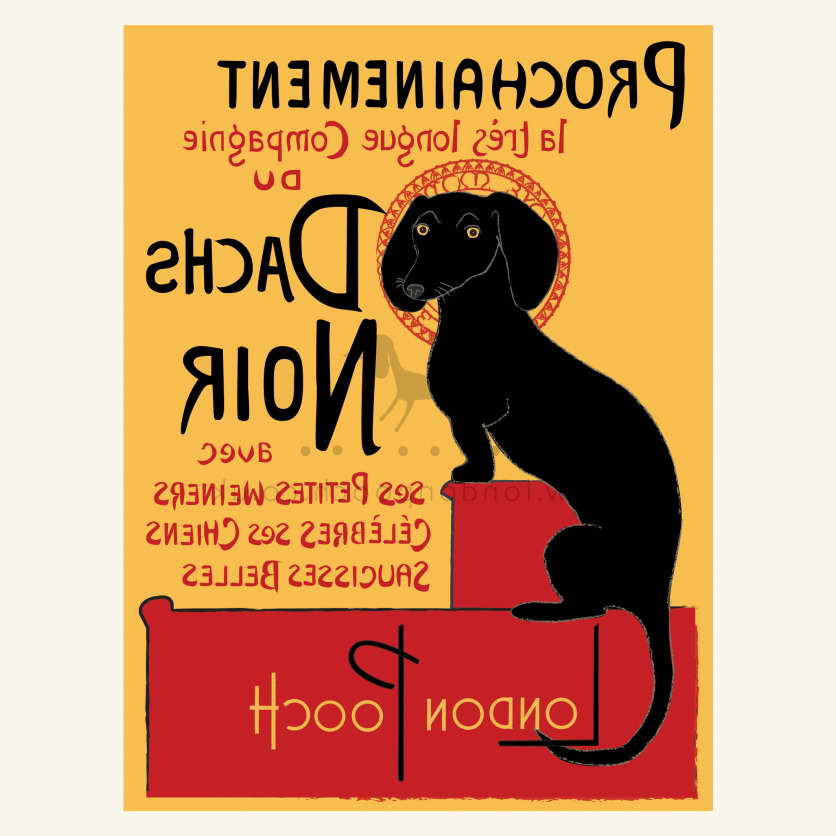 Dachshund Poster Petsidi