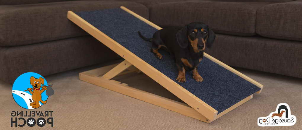 Dachshund Ramps For Sale