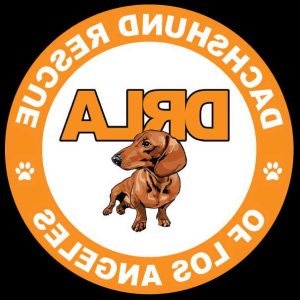 Dachshund Rescue Of Los Angeles