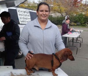 Dachshund Sacramento