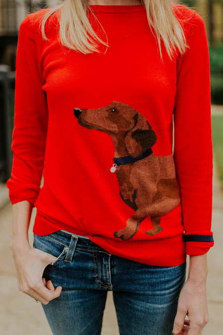Dachshund Sweater For Human
