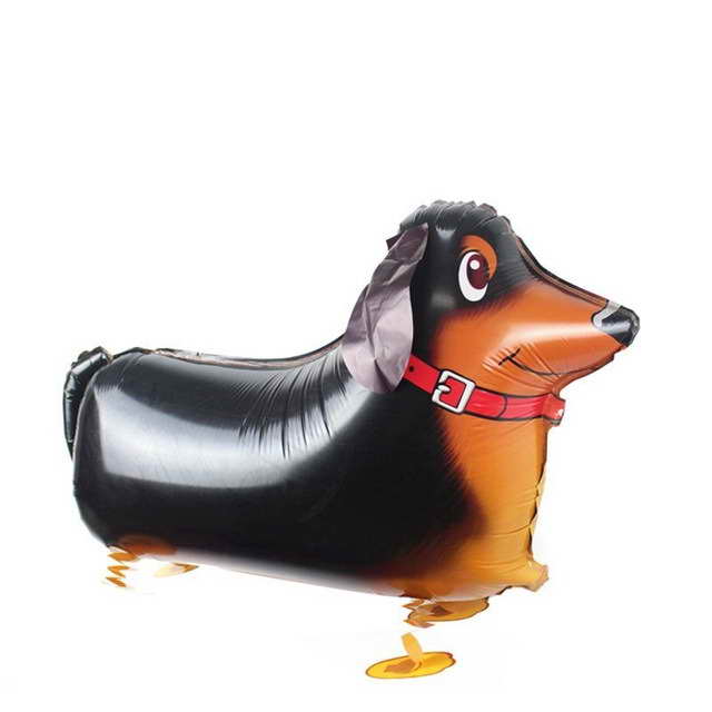 Dachshund Toys And Supplies