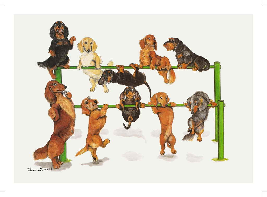 Dachshund Training Tips