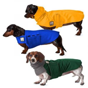 Dachshund Winter Coat