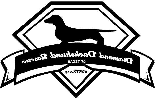 Diamond Dachshund Rescue