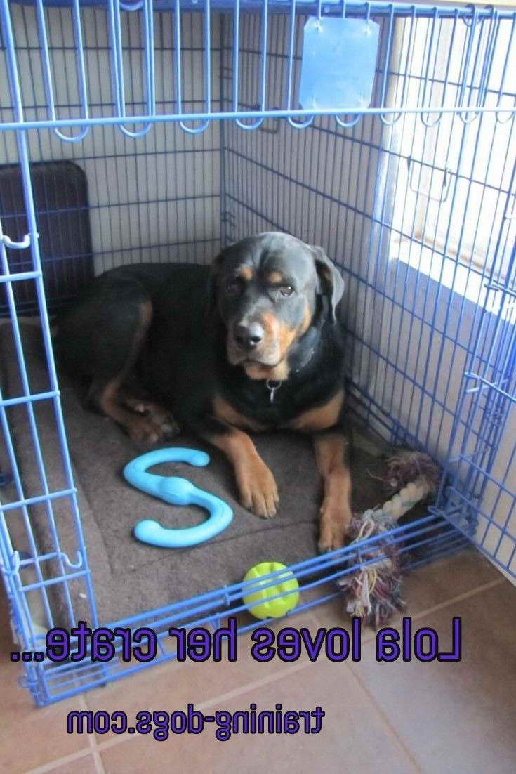 Dog Crate For Rottweiler