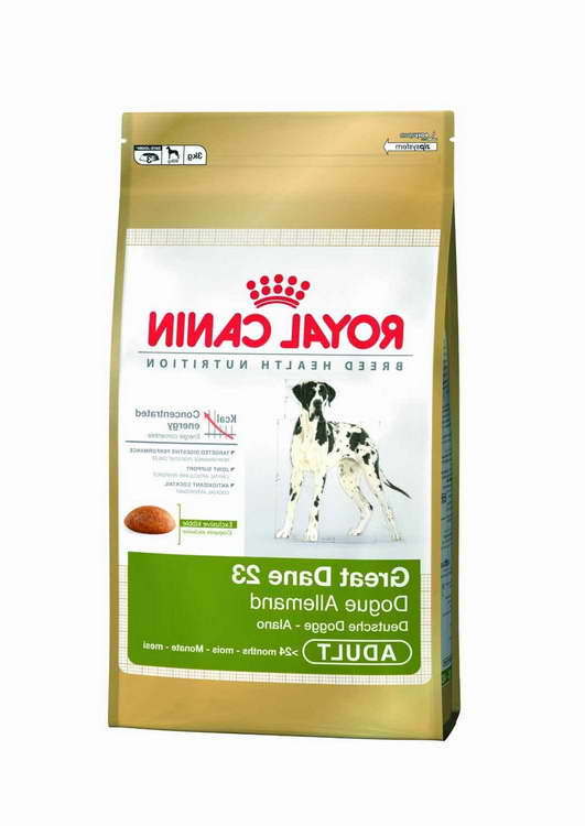 Dog Food For Great Dane