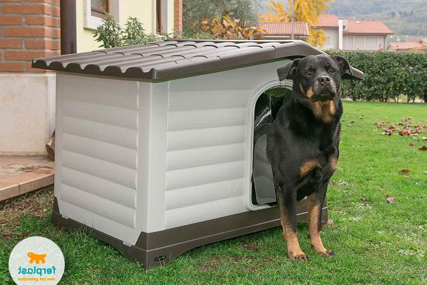 rottweiler dog house