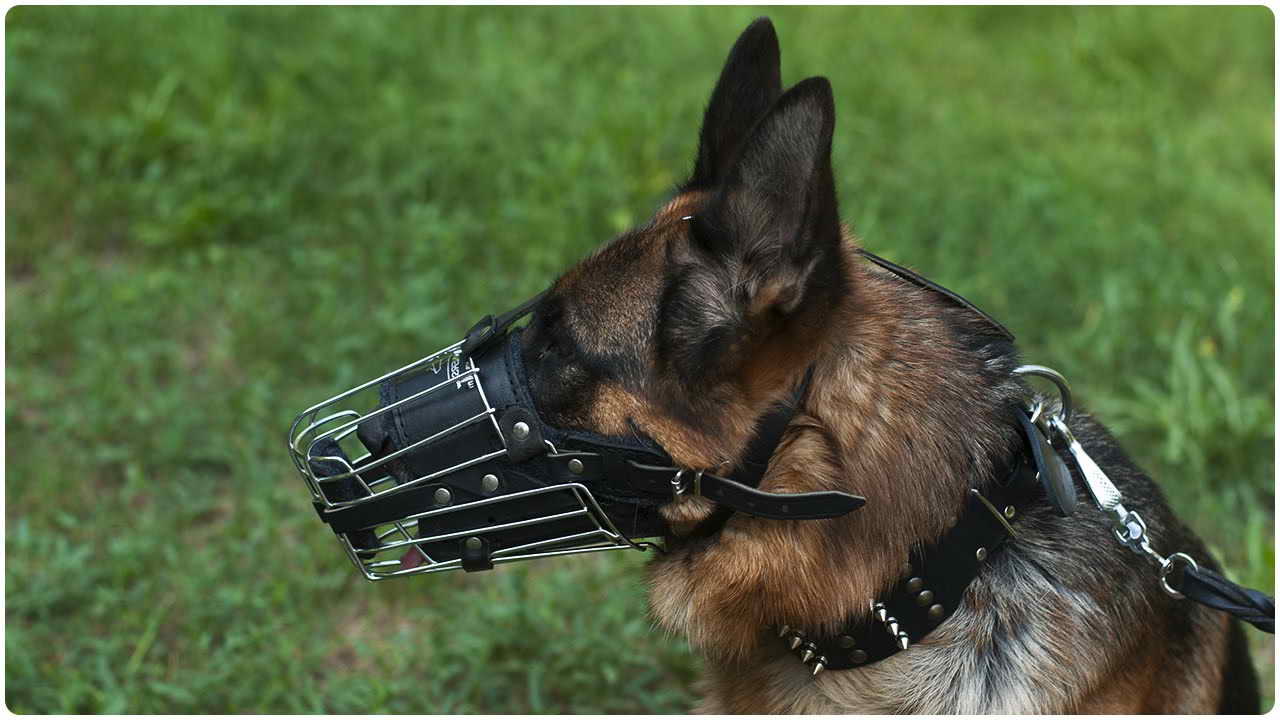 Dog Muzzle For German Shepherd