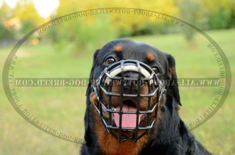 Dog Muzzle For Rottweiler
